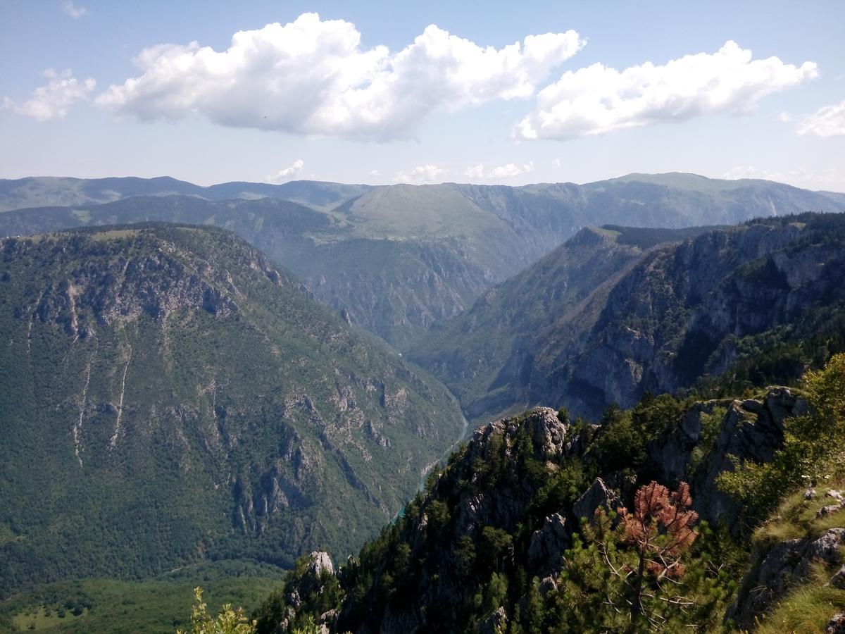 Mountain Dream Daire